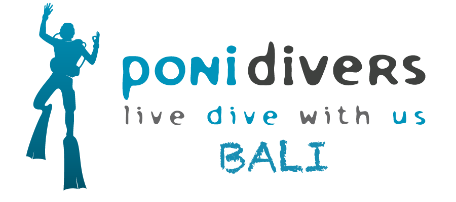 Poni Divers BALI