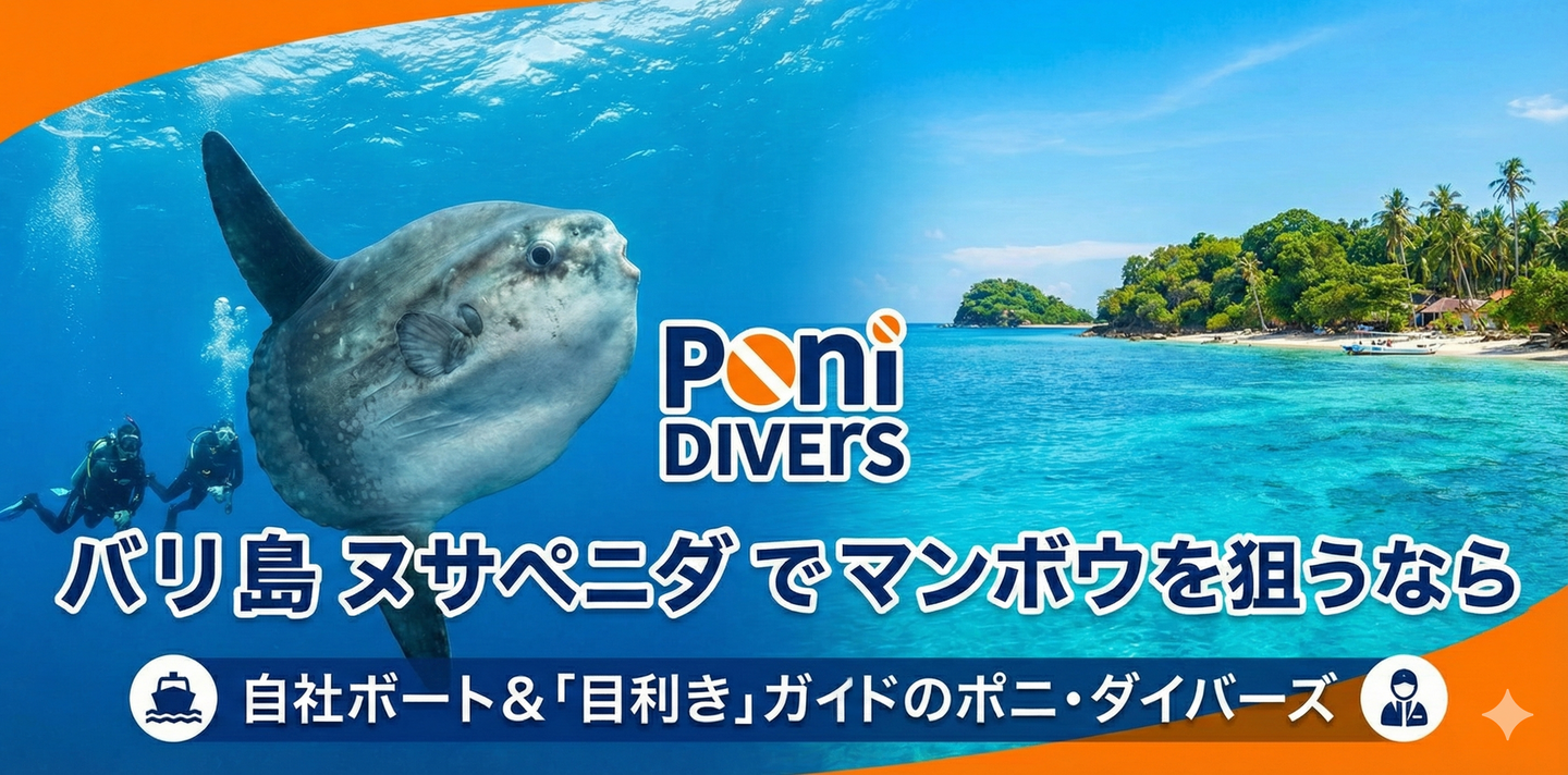 2026バリ島ヌサペニダでマンボウを狙うなら 自社ボート＆「目利き」ガイドのポニ・ダイバーズ