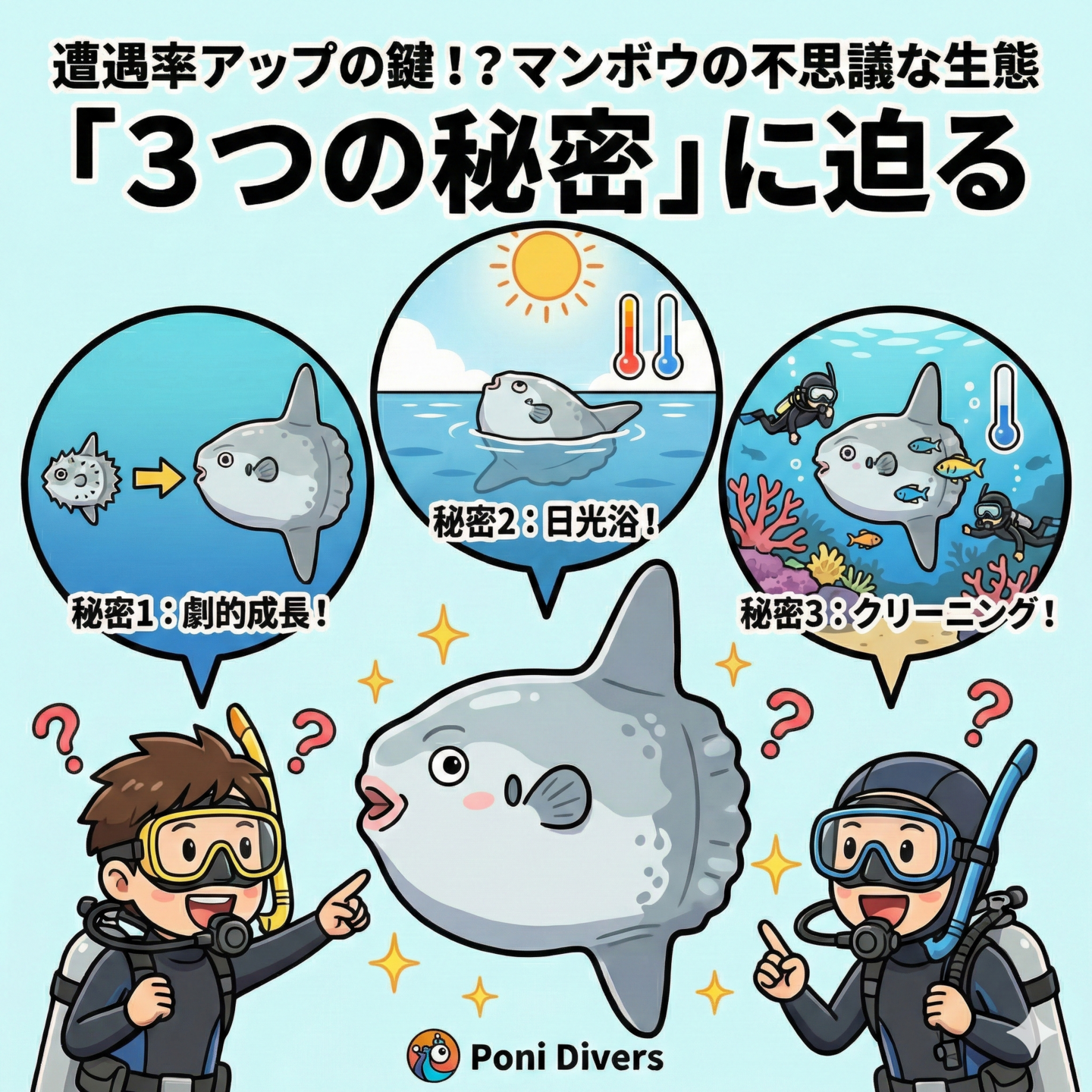 遭遇率アップの鍵！？バリ島マンボウの不思議な生態「3つの秘密」に迫る