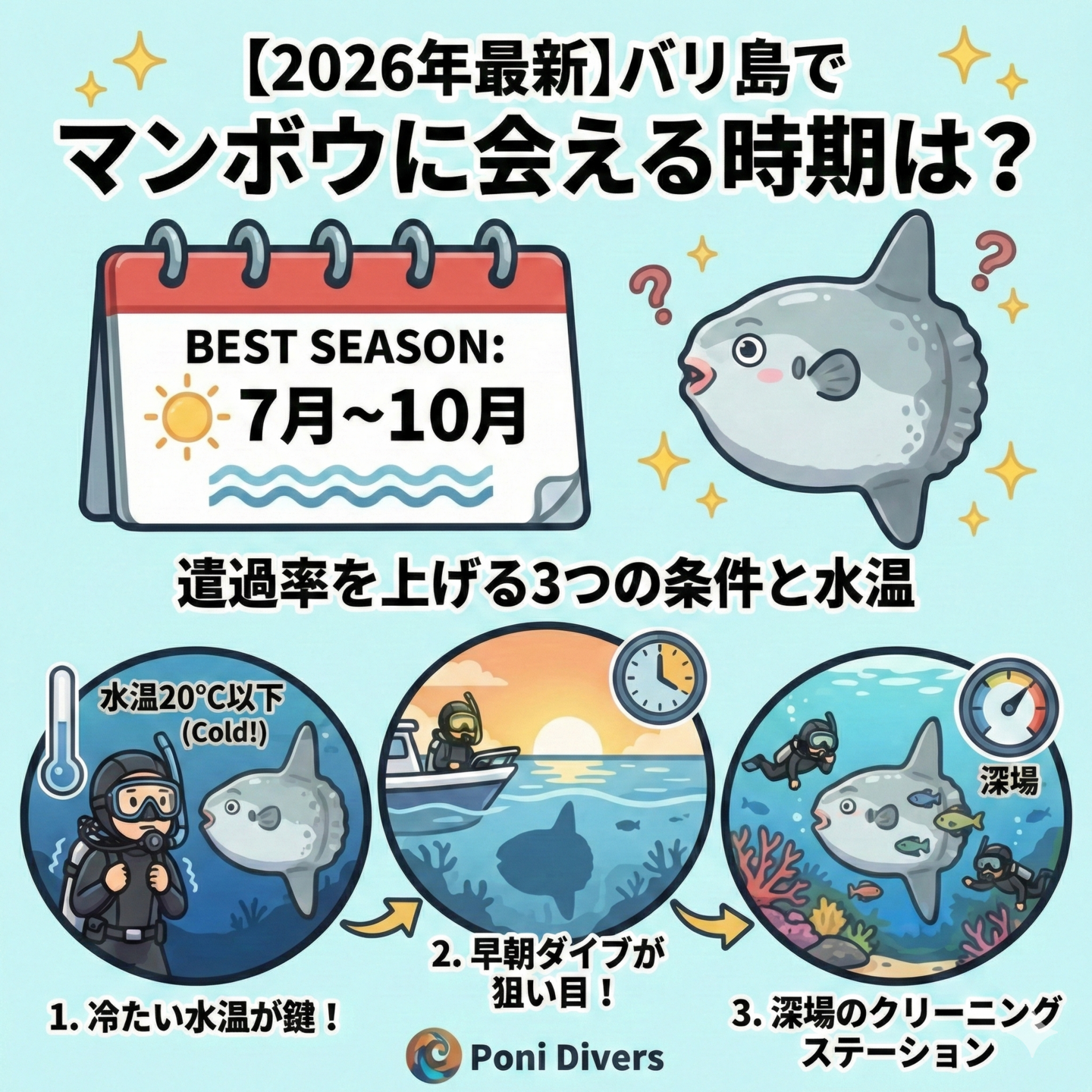 【2026年最新】バリ島でマンボウに会える時期は？